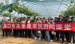 农民智多星爆料视频