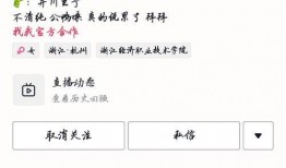 网红吃瓜网站网址大全,揭秘热门网址大全