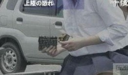 变态爆料新闻视频,视频内容深度解析