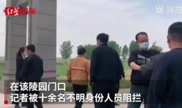 不明身份手机在线观看,揭秘网络世界的未知面纱