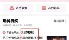 头条视频爆料怎么弄,轻松制作概述文章副标题的秘诀