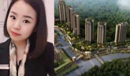 保利香槟爆料视频最新版,品质生活新篇章