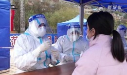 百色记者爆料事件视频,真相背后引人深思