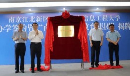 前湾新区爆料事件最新消息,最新进展揭秘！”