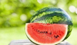 58天西瓜在线观看,夏日炎炎，尽享清凉视听盛宴