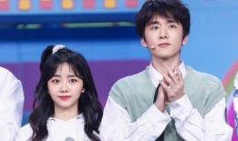 张新成何炅最新爆料,幕后故事与精彩瞬间大公开