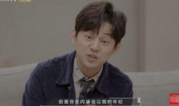 张新成何炅最新爆料,幕后故事与精彩瞬间大公开