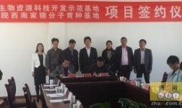 中国养殖行业爆料新闻,最新爆料事件深度剖析