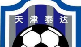 天津泰达公司最新爆料,揭秘重大商业动态与战略布局