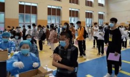 海亮爆料最新消息视频,热点事件背后真相揭晓