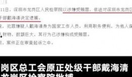 领导爆料视频怎么处理,事件始末与处理策略深度解析