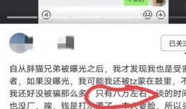 胖猫事件最新爆料,最新爆料揭露惊人内幕