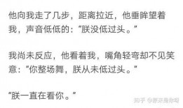 吃瓜吵架知乎小说免费阅读,吃瓜吵架的知乎小说免费阅读之旅