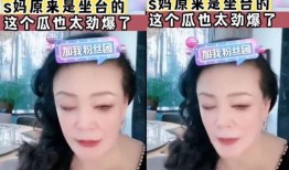 爆料张兰当妈妈视频全集,揭秘豪门背后的温馨瞬间
