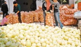 西安网红地下室吃瓜,吃瓜群众的地下狂欢