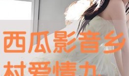 看乡九下全集在线观看,探寻乡村变迁的视觉之旅