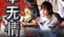 法本无情无删在线观看,无删版剧情深度解析
