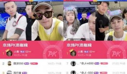 舞帝二哈爆料网站大全最新,揭秘网站大全背后的精彩故事