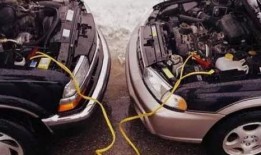 福建新闻广播爆料车主是谁,神秘车主身份引发热议