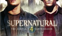 邪恶力量第四季在线观看