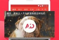 西瓜视频ss4爆料,揭秘全新功能与升级亮点