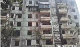 深圳小区李小姐爆料视频,揭秘小区惊人内幕