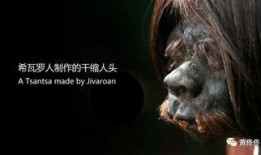 欧洲人性视频在线观看,私密视频在线观看揭秘