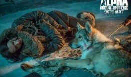 站狼在线观看,揭秘网络直播的狂野世界