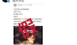 青枫工作室更新爆料视频,揭秘神秘项目，精彩内容抢先看！