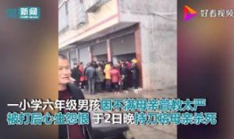 郑州小学爆料事件真相视频,揭开校园疑云的真相