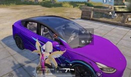 和平精英车最新爆料,最新爆料揭秘神秘战车性能与外观