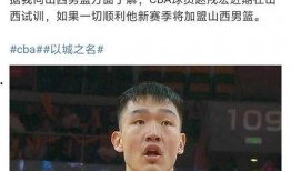 深圳男篮爆料新闻视频最新,揭秘球队最新动态与幕后故事