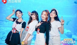 网红西瓜爆料视频大全集,网红视频大全集精彩瞬间回顾