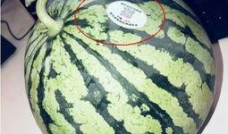 网红吃瓜718,揭秘娱乐圈幕后真相