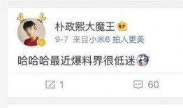 退网爆料王者荣耀视频下载,退网爆料视频下载背后的真相